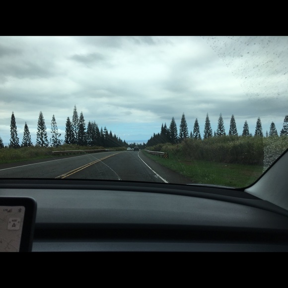 Meet your Posher, Jassmin - Picture 4 of 5